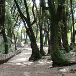 Santuario Bosco Sacro a Monteluco