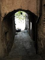IMG_1572.jpg